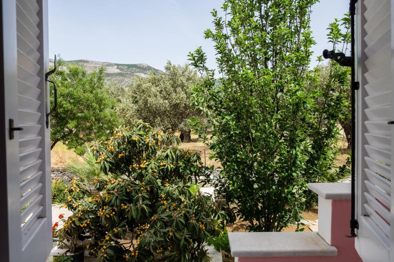 Cozy & Peaceful Apartment In Chalki Khalkíon Εξωτερικό φωτογραφία